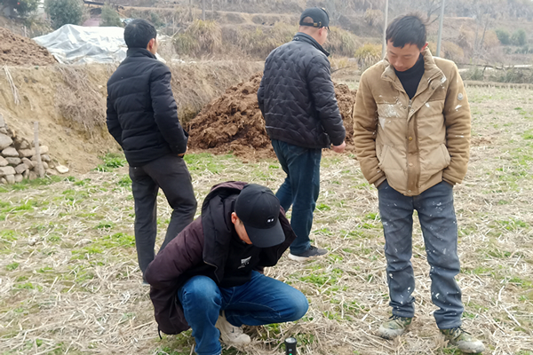 中国姜网生态基地调研指导--安徽岳西 ()