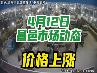 4月12日 昌邑生姜交易实况（价格上涨） ()