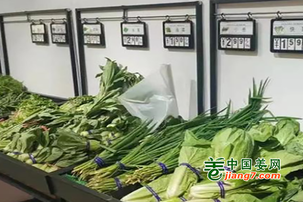 河北衡水：天气转暖 菜价下调 ()