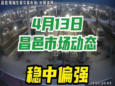 4月13日 昌邑生姜交易实况（稳中偏强） ()