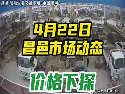 4月22日 昌邑生姜交易实况（价格下滑） ()