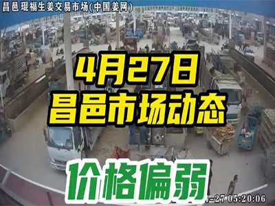 4月27日 昌邑生姜交易实况（价格偏弱） ()