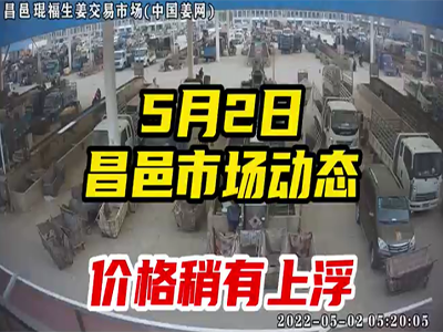 5月2日 昌邑生姜交易实况（价格略涨） ()