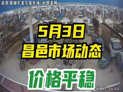 5月3日 昌邑生姜交易实况（行情平稳） ()