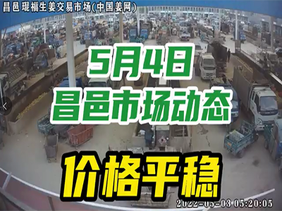 5月4日 昌邑生姜交易实况（行情平稳） ()