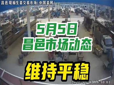 5月5日 昌邑生姜交易实况（行情平稳） ()