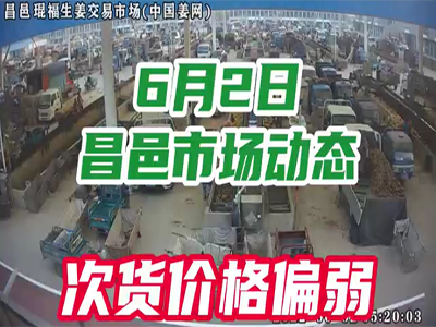 6月2日 昌邑生姜交易实况（下货偏慢） ()