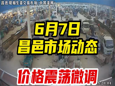6月7日 昌邑生姜交易实况（价格震荡） ()