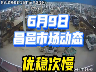 6月9日 昌邑生姜交易实况（优稳次慢） ()
