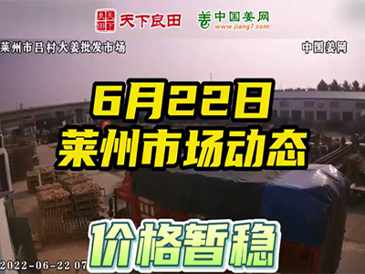 6月22日 莱州生姜交易实况（价格暂稳） ()