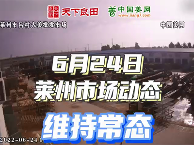 6月24日 莱州生姜交易实况（价格暂稳） ()