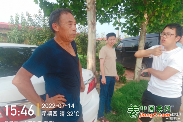 2022生姜调研－苗情篇 ()