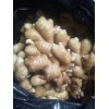 山东生姜产地 山农一号姜种，山东大黄姜批发，山东小黄姜价格