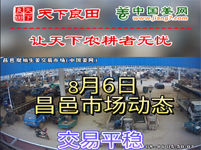 8月6日 昌邑生姜交易实况（价格平稳） ()