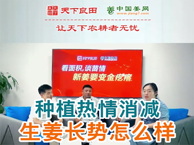 种植热情消减生姜长势怎么样？ ()