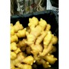 山东面姜小黄姜大黄姜大量上市