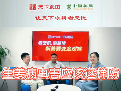 生姜病虫害应该这样防？ ()