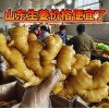 【山东生姜】老姜产地批发 鲜姜批发 坏烂包赔 代发代存