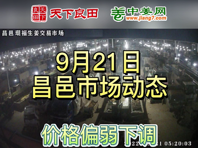 9月21日 昌邑生姜交易实况（价格掉1毛） ()