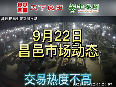 9月22日 昌邑生姜交易实况（价格掉1毛） ()