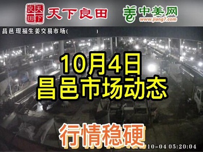 10月4日 昌邑生姜交易实况（价格偏强） ()
