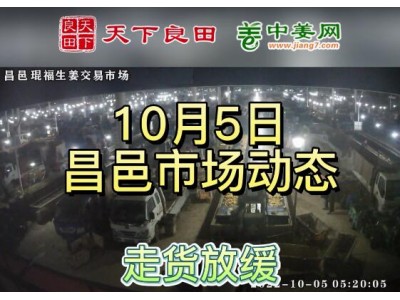 10月5日 昌邑生姜交易实况（走货放缓） ()
