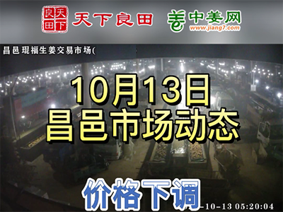 10月13日 昌邑生姜交易实况（价格偏弱） ()