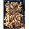 山东生姜产地 ，山东大姜批发，山东小姜价格，山东鲜姜价格