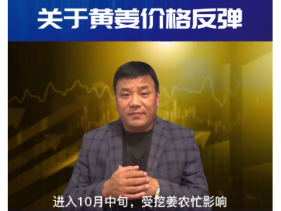 黄姜反弹是昙花一现还是调整待涨 ()