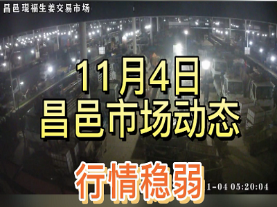 11月4日 昌邑生姜交易实况（价格稳弱） ()