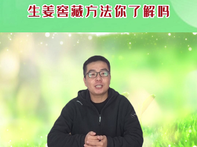 生姜窖藏方法你了解吗 ()