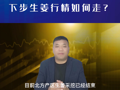 下步生姜行情如何走？ ()
