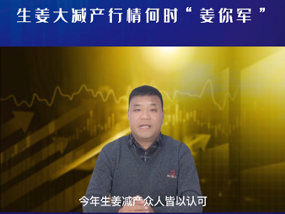 生姜大减产行情何时“姜你军” ()