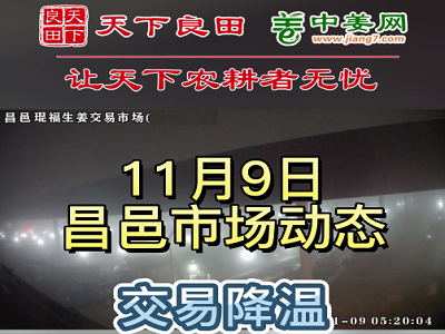 11月9日 昌邑生姜交易实况（走货不快） ()