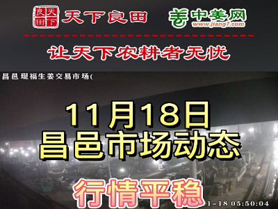 11月18日 昌邑生姜交易实况（价格平稳） ()