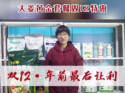 天下良田·中姜网“双12特惠”大姜黄金套餐 ()