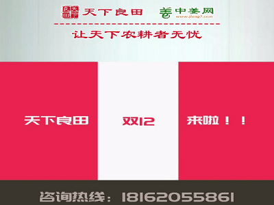 天下良田·中姜网“双12”全年最后让利 ()