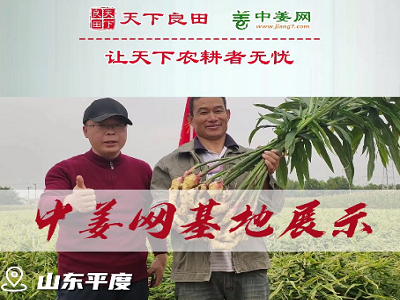 天下良田·中姜网基地展示 ()