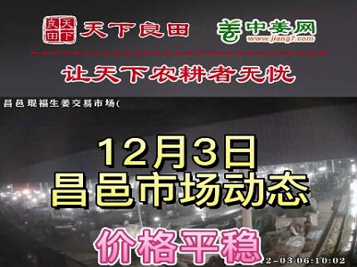 12月3日 昌邑生姜交易实况（价格平稳） ()
