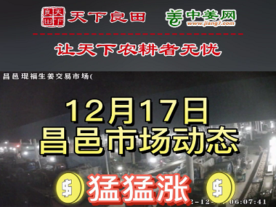 12月17日 昌邑生姜交易实况（价格再猛涨） ()