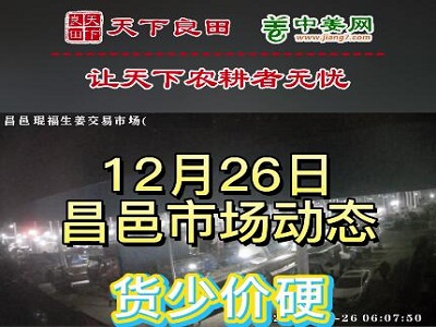 12月26日 昌邑生姜交易实况（货少价硬） ()