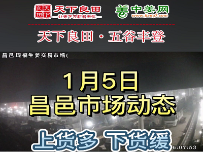1月5日 昌邑生姜交易实况（下货慢） ()
