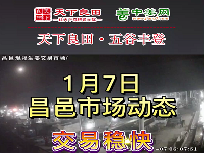 1月7日 昌邑生姜交易实况（价格偏强） ()