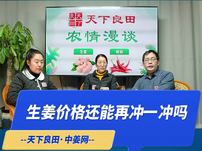 年前生姜价格还能再冲一冲吗？ ()