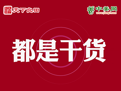 生姜行情报告会暨增产种植技术论坛 ()