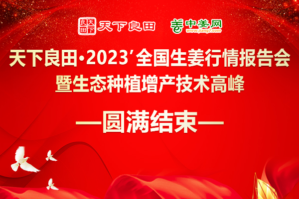 2023’全国生姜行情报告会暨生态种植增产技术高峰论坛成功举办 ()