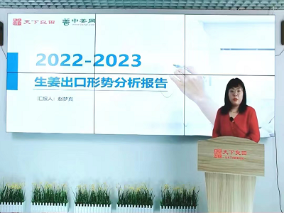 2022-2023生姜出口形势分析报告 ()