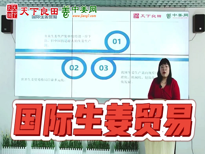 国际生姜贸易情况分析 ()