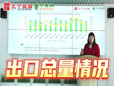 2022年中国生姜出口总量分析 ()