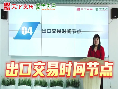 中国生姜出口交易节点 ()